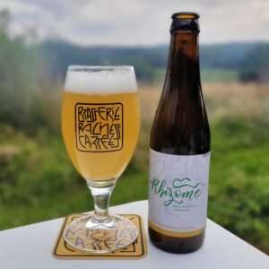 480689416_646021987987265_8103501806821774198_n Rhizome