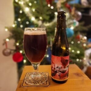 480772198_649375280985269_5909791976266094046_n Hellébore