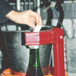 509291704_3289396507865797_8791810016824827009_n Rocs Saison