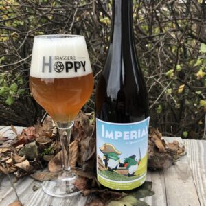 bière hoppy imperial